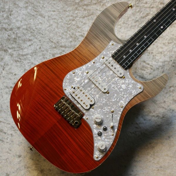 fujigen(fgn) expert eos-fm-r rkg #l200311 electric guitar 
fujigen(fgn) expert eos-fm-r rkg #l200311 electric guitar