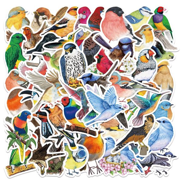 50pcs watercolor style bird parrot stickers graffiti for diy wall luggage lapbike gift sticker
50pcs watercolor style bird parrot stickers graffiti for diy wall luggage lapbike gift sticker