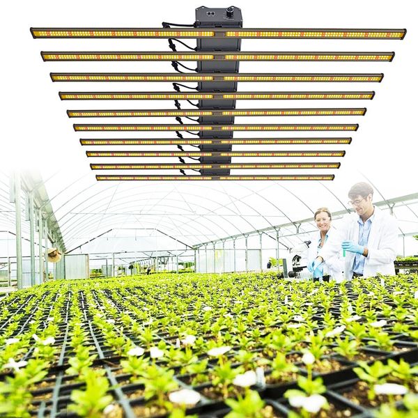 2022 upgraded led grow lights for indoor plants bar samsung lm301b diodes,400w 600w 800w 1000w 1200w full spectrum daisy chain dimmable grow
2022 upgraded led grow lights for indoor plants bar samsung lm301b diodes,400w 600w 800w 1000w 1200w full spectrum daisy chain dimmable grow