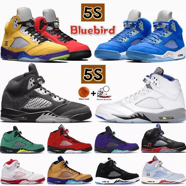 5 5s basketball shoes bluebird what the anthracite alternate grape oregon blue suede white stealth raging red black metallic mens sneakers t
5 5s basketball shoes bluebird what the anthracite alternate grape oregon blue suede white stealth raging red black metallic mens sneakers t