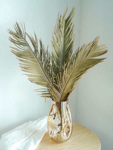 1pc palm fan leaf dried flower palm leaves window reception wedding arch arrangement party art wall hanging home decoration
1pc palm fan leaf dried flower palm leaves window reception wedding arch arrangement party art wall hanging home decoration
