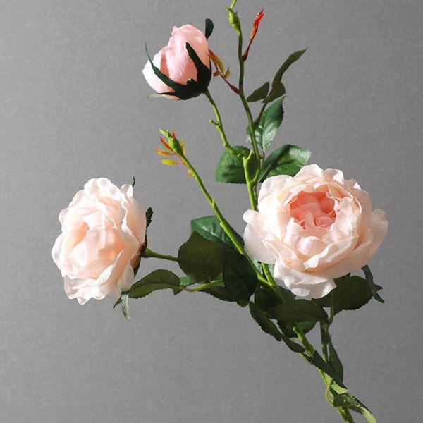 hand moisturizing 3 head austin rose faux floral l living room decoration fake flower shooting layout props
hand moisturizing 3 head austin rose faux floral l living room decoration fake flower shooting layout props