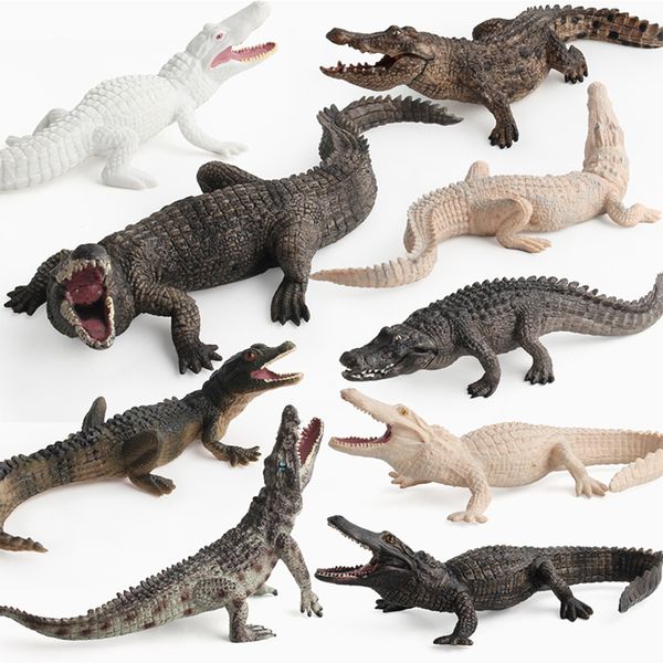 9pcs wholesale jurassic simulation animals crocodile's tail model action figures children kids toy educational figurine home decor doll
9pcs wholesale jurassic simulation animals crocodile's tail model action figures children kids toy educational figurine home decor doll