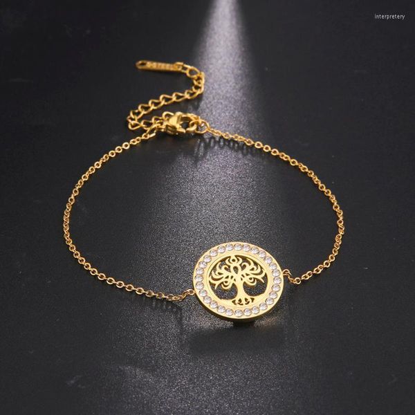 link chain cazador hollow stainless steel tree of life bracelets zircon pendant bracelet pulsera jewelry women gifts wholesale 2022 inte22li, Black
link chain cazador hollow stainless steel tree of life bracelets zircon pendant bracelet pulsera jewelry women gifts wholesale 2022 inte22li, Black
