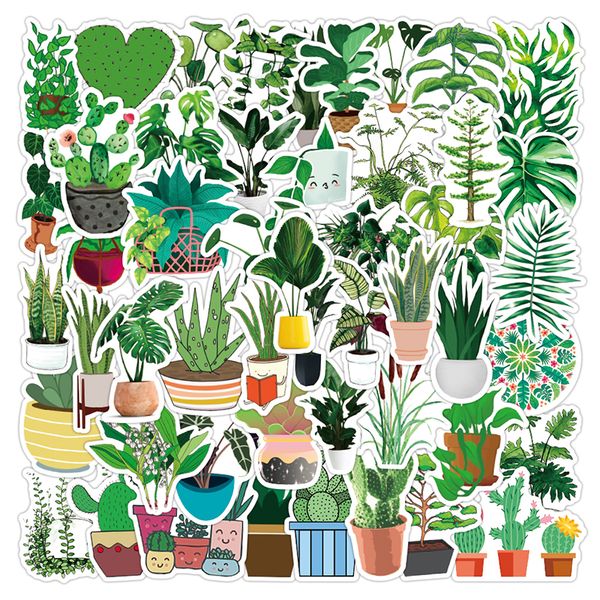 50pcs lot plants cactus lapstickers pack for diy bike guitar water bottle wall waterproof cartoon kids toys car decal
50pcs lot plants cactus lapstickers pack for diy bike guitar water bottle wall waterproof cartoon kids toys car decal