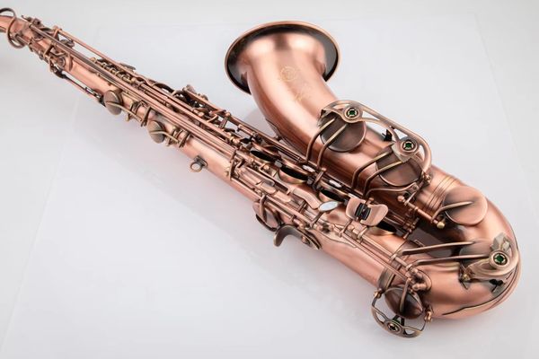 brand new r54 tenor saxophone b flat phosphor bronze pink woodwind instrument with case accessories
brand new r54 tenor saxophone b flat phosphor bronze pink woodwind instrument with case accessories