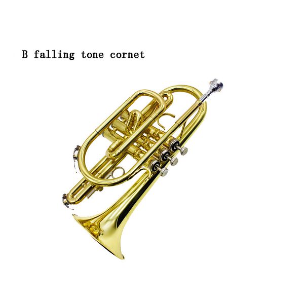 cornet lacquered bb brass cornet professional wind instruments performance instrument
cornet lacquered bb brass cornet professional wind instruments performance instrument