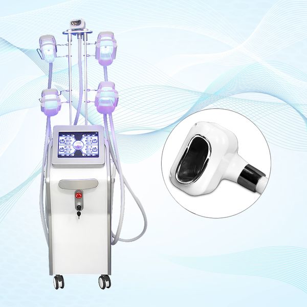 2022 new five handles cyrolipolysis slimming machine fat ing cooltech 4 handles working together
2022 new five handles cyrolipolysis slimming machine fat ing cooltech 4 handles working together