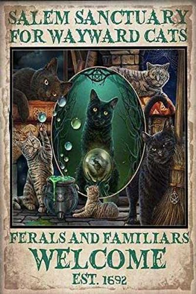 mystical cats salem sanctuary for wayward cats wall retro tin sign, bathroom decoration for bars, restaurants, cafes and bars, 8x12 inches
mystical cats salem sanctuary for wayward cats wall retro tin sign, bathroom decoration for bars, restaurants, cafes and bars, 8x12 inches