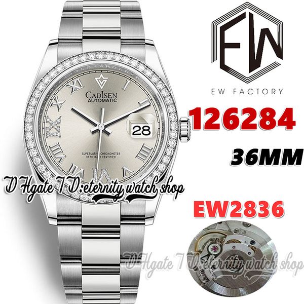 ewf v3 ew126284 2836 automatic womens watch 36mm diamonds bezel silver dial roman markers 904l steel bracelet with same serial warranty card, Slivery;brown
ewf v3 ew126284 2836 automatic womens watch 36mm diamonds bezel silver dial roman markers 904l steel bracelet with same serial warranty card, Slivery;brown