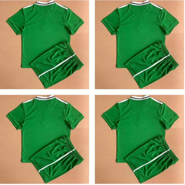 2022 northern ireland soccer jerseys lafferty evans football shirt davis mcnair magennis green man white men kit kids 22 23 uniform, Black;yellow
2022 northern ireland soccer jerseys lafferty evans football shirt davis mcnair magennis green man white men kit kids 22 23 uniform, Black;yellow