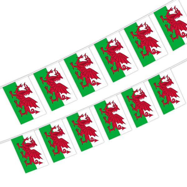 wales string flag 20 flag 14x21cm welsh hanging mini banner for indoor outdoor decoration
wales string flag 20 flag 14x21cm welsh hanging mini banner for indoor outdoor decoration