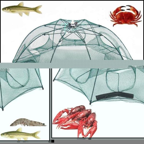 fishing accessories sports outdoors folded net 4/6/8/10 hole matic shrimp trap fish minnow crab baits cast mesh fishnet drop delivery 2021
fishing accessories sports outdoors folded net 4/6/8/10 hole matic shrimp trap fish minnow crab baits cast mesh fishnet drop delivery 2021