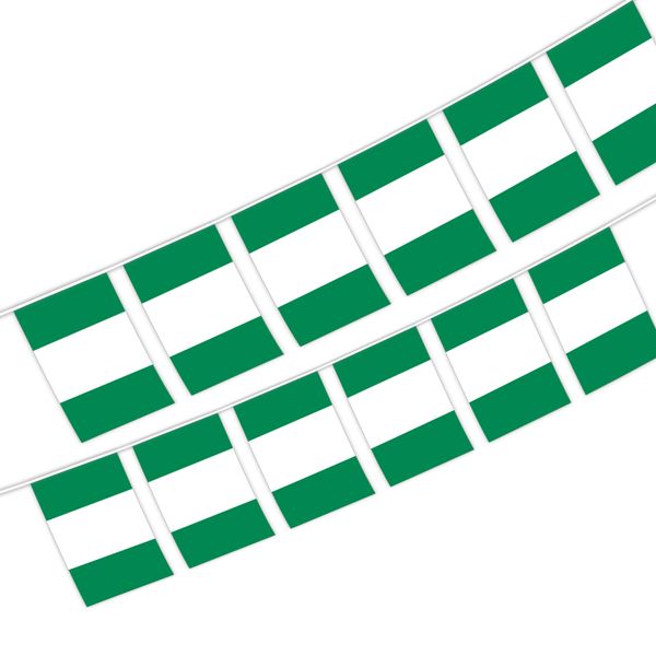 nigeria string flag 20 flag 14x21cm nigerian hanging mini banner for indoor outdoor decor
nigeria string flag 20 flag 14x21cm nigerian hanging mini banner for indoor outdoor decor