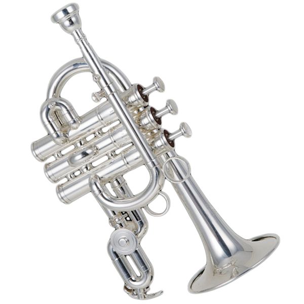 high grade professional silver plating piccolo trumpet trumpet instrument
high grade professional silver plating piccolo trumpet trumpet instrument