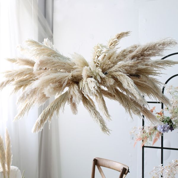 pampas grass extra large natural white grey dried flower bouquet fluffy for boho vintage home wedding flower decoration
pampas grass extra large natural white grey dried flower bouquet fluffy for boho vintage home wedding flower decoration