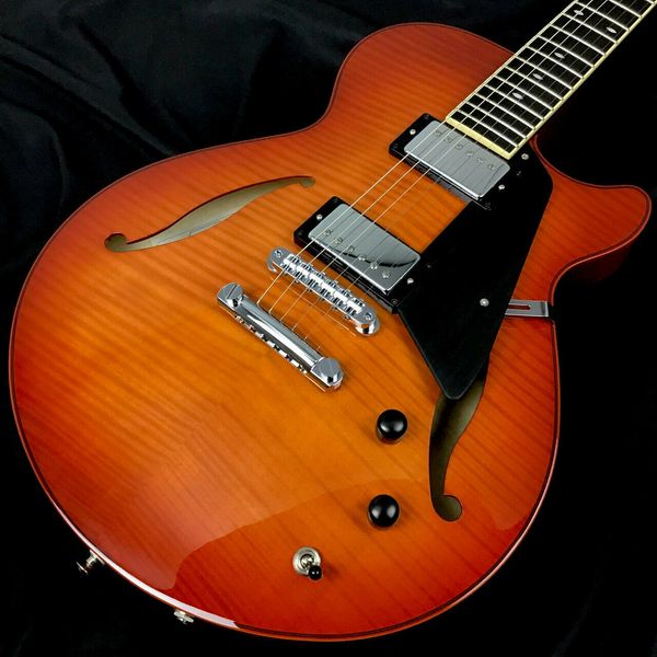 sadowsky semi hollow model / violin burst #ggb76 electric guitar
sadowsky semi hollow model / violin burst #ggb76 electric guitar