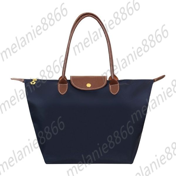 waterproof nylon dumpling bag ladies foldable carrying beach fashion womens oxford shoulder s female shopping luxury handbags
waterproof nylon dumpling bag ladies foldable carrying beach fashion womens oxford shoulder s female shopping luxury handbags