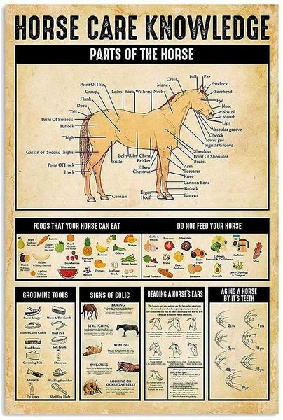 horse care knowledge poster wall decor artwork vintage replica 12 x inches retro vintage decor sign metal home bar wall
horse care knowledge poster wall decor artwork vintage replica 12 x inches retro vintage decor sign metal home bar wall