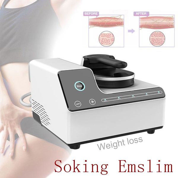 mini home use 7 tesla muscle building body slimming machine fat burning slim shaping emslim stimulation sculpting machine hiemt
mini home use 7 tesla muscle building body slimming machine fat burning slim shaping emslim stimulation sculpting machine hiemt