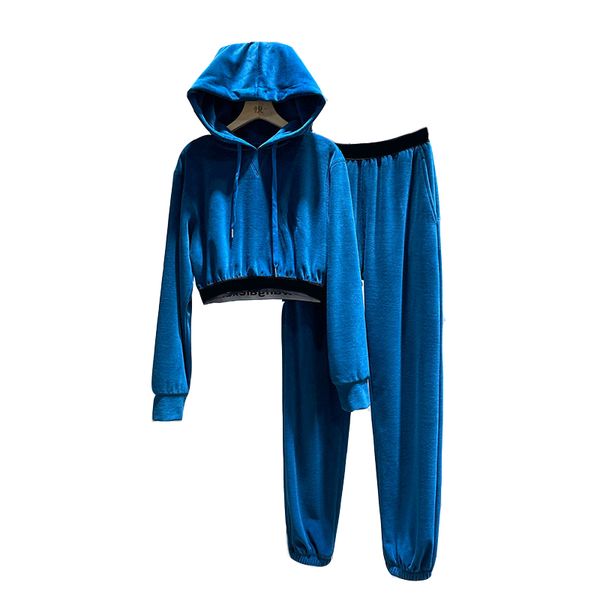 womens tracksuit casual hoodie designer brand alex velvet fabric tracksuits hoodies street leisure fashion pullover sweatshirt long sleeves, Gray
womens tracksuit casual hoodie designer brand alex velvet fabric tracksuits hoodies street leisure fashion pullover sweatshirt long sleeves, Gray