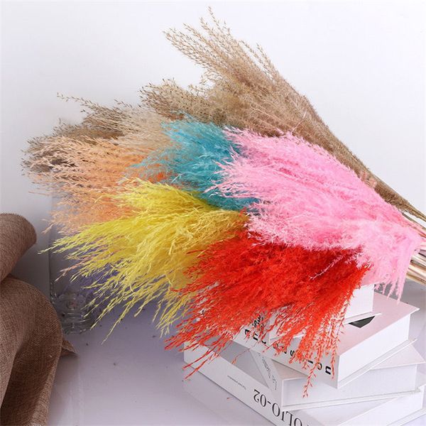 dried flowers 45cm/flower ear 20~40cm pampa,real dry natural pampas grass reed flowers, phragmites small bulrush bouquet,home party decor
dried flowers 45cm/flower ear 20~40cm pampa,real dry natural pampas grass reed flowers, phragmites small bulrush bouquet,home party decor