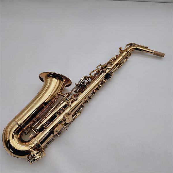 st110 brass gold lacquer alto saxophone eb flat sax musical instruments with mouthpiece
st110 brass gold lacquer alto saxophone eb flat sax musical instruments with mouthpiece