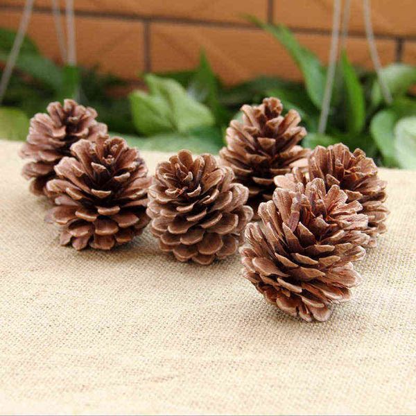 factory outlet 2-14cm pineal christmas decorations pendant natural dried fruit shooting props accessories
factory outlet 2-14cm pineal christmas decorations pendant natural dried fruit shooting props accessories