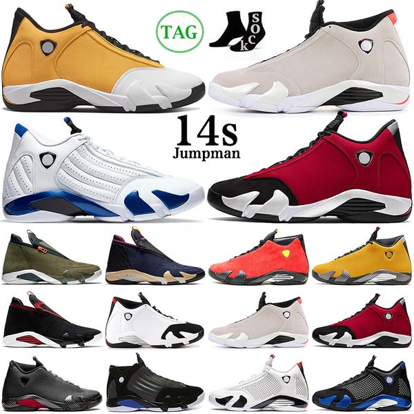 ale 14 14s men basketball shoes ginger gym blue hyper royal university gold last solive purple red light graphite mens trainers outdoor spor
ale 14 14s men basketball shoes ginger gym blue hyper royal university gold last solive purple red light graphite mens trainers outdoor spor