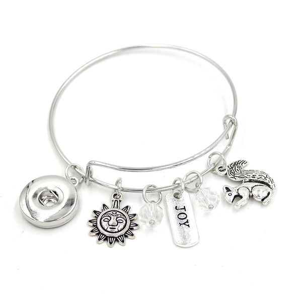 wholesale liobonar snap button charm interchangeable snap jewelry expandable wire bangle joy sun squirrel bracelet for women gifts pulsera, Golden;silver
wholesale liobonar snap button charm interchangeable snap jewelry expandable wire bangle joy sun squirrel bracelet for women gifts pulsera, Golden;silver