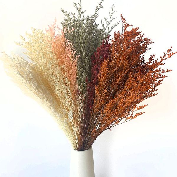 decorative flowers & wreaths natural fresh dried preserved gypsophila paniculata,baby's breath flower bouquets home wedding decoration
decorative flowers & wreaths natural fresh dried preserved gypsophila paniculata,baby's breath flower bouquets home wedding decoration
