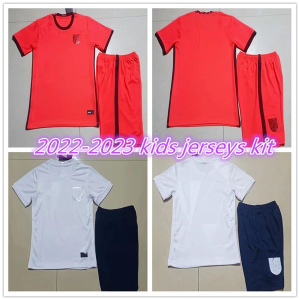 soccer jersey set 2022 2023 england kids kit kane sterling rashford sancho grealish mount foden henderson maguire 22 23 no stars national fo, Black
soccer jersey set 2022 2023 england kids kit kane sterling rashford sancho grealish mount foden henderson maguire 22 23 no stars national fo, Black
