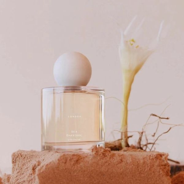 wholesale lodon perfume men women fragrance moonlit camomile silk blossom sea daffodil 100ml cologne parfum family daily use spray long last
wholesale lodon perfume men women fragrance moonlit camomile silk blossom sea daffodil 100ml cologne parfum family daily use spray long last