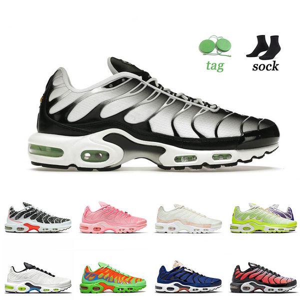 wholesale 2022 arrival max plus tn running shoes size us 12 white black mint green sisterhood university blue special sherbert trainers snea
wholesale 2022 arrival max plus tn running shoes size us 12 white black mint green sisterhood university blue special sherbert trainers snea