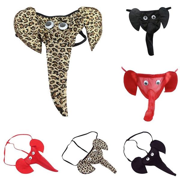 erotic toys sm bondage for male g strings underwear role play sexyy man elephant pants games
erotic toys sm bondage for male g strings underwear role play sexyy man elephant pants games