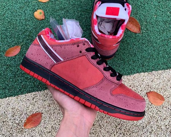 shoes concepts x chunky dk low red lobster men women mens trainers sports fashion outdoor sneakers
shoes concepts x chunky dk low red lobster men women mens trainers sports fashion outdoor sneakers