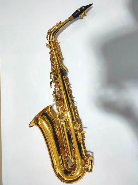 eb alto saxophone brass gold lacquer music instrument e-flat sax with case accessories
eb alto saxophone brass gold lacquer music instrument e-flat sax with case accessories
