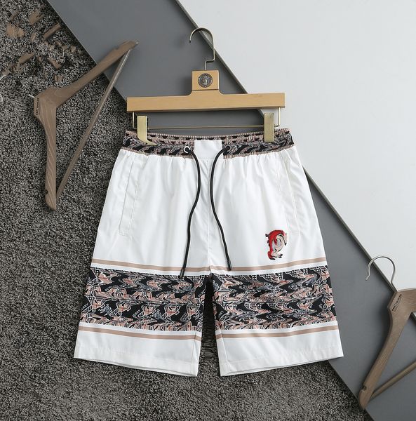 2022 mens summer shorts fashion active gym sports pants boys running men shorts with phone pocket breathable mesh short trackpants fitness j, White;black
2022 mens summer shorts fashion active gym sports pants boys running men shorts with phone pocket breathable mesh short trackpants fitness j, White;black
