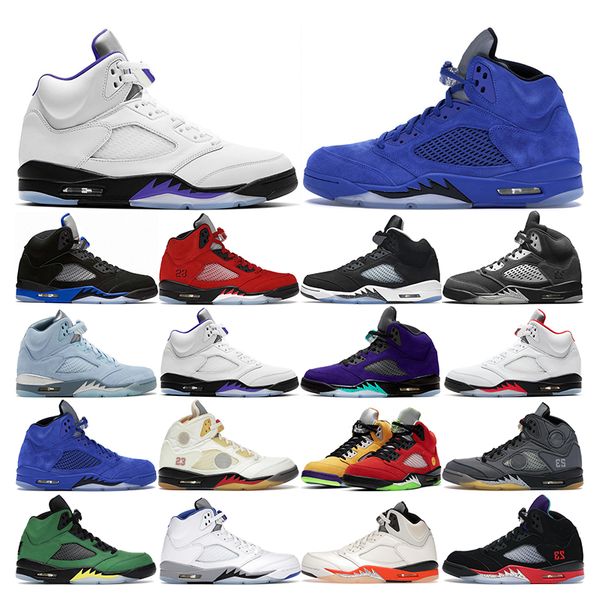basketball shoes 5s for men 5 concord bluebird shattered backboard hyper royal white cement alternate grape sports sneakers mens trainers fa
basketball shoes 5s for men 5 concord bluebird shattered backboard hyper royal white cement alternate grape sports sneakers mens trainers fa