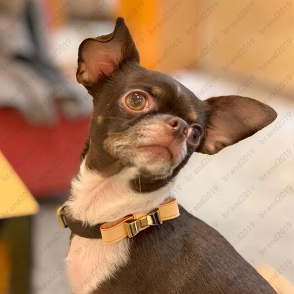popularity style leashes bow decoration printing with metal adjustable dog collars leashes large size comes withs box leather designer dogs
popularity style leashes bow decoration printing with metal adjustable dog collars leashes large size comes withs box leather designer dogs