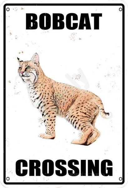 bobcat crossing metal vintage tin sign wall decoration 12x8 inches for house room cafe bars restaurants pubs man cave decorative
bobcat crossing metal vintage tin sign wall decoration 12x8 inches for house room cafe bars restaurants pubs man cave decorative