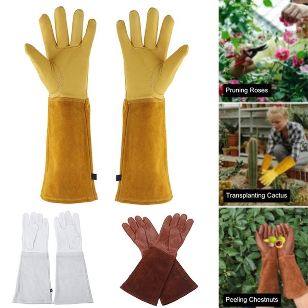 1 pair heavy duty gardening rose pruning gauntlet gloves thorn proof long sleeve work welding garden 220812gx, Blue;gray
1 pair heavy duty gardening rose pruning gauntlet gloves thorn proof long sleeve work welding garden 220812gx, Blue;gray