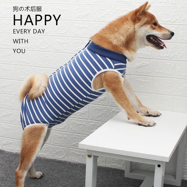 large dog apparel new stripe dog vest four feet wholesale dogs clothes modal high elastic breathability care after weaning pet sterilization
large dog apparel new stripe dog vest four feet wholesale dogs clothes modal high elastic breathability care after weaning pet sterilization