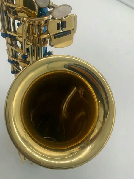 eb alto saxophone new arrival brass blue gold key lacquer music instrument e-flat sax with case accessories
eb alto saxophone new arrival brass blue gold key lacquer music instrument e-flat sax with case accessories
