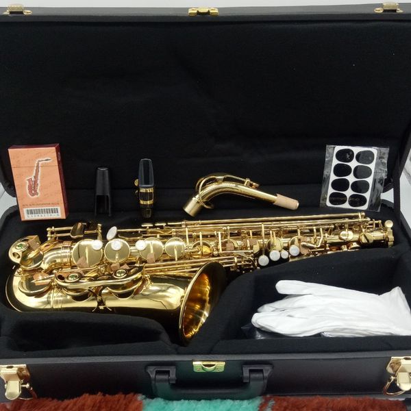 music fancier club alto saxophone gold lacquer professional alto sax with case reeds neck mouthpiece
music fancier club alto saxophone gold lacquer professional alto sax with case reeds neck mouthpiece