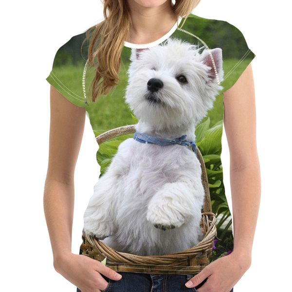 noisydesigns west highland white terrier print women summer t shirts westie puppy design girl t-shirts fashion fitness tees 220628
noisydesigns west highland white terrier print women summer t shirts westie puppy design girl t-shirts fashion fitness tees 220628