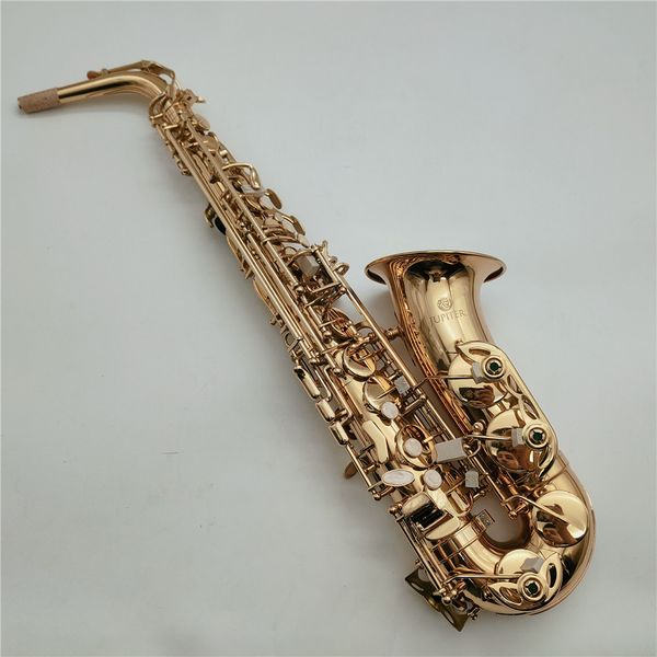 alto eb tune saxophone new arrival brass gold lacquer music instrument e-flat sax with case accessories
alto eb tune saxophone new arrival brass gold lacquer music instrument e-flat sax with case accessories