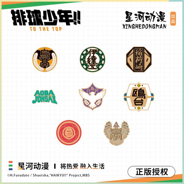 genuine authorized costume accessories animation props haikyuu brooch metal badge set 8 pieces for haikyuu fans, Silver
genuine authorized costume accessories animation props haikyuu brooch metal badge set 8 pieces for haikyuu fans, Silver