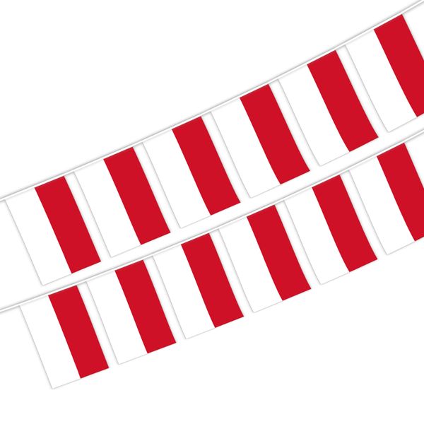 monaco string flag 20 flag 14x21cm monacans hanging mini banner for indoor outdoor decoration
monaco string flag 20 flag 14x21cm monacans hanging mini banner for indoor outdoor decoration