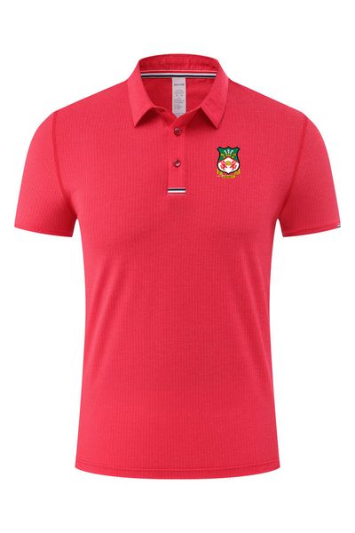 wrexham football club men's polos summer soft fashion design comfortable fast-dry soccer t shirt short sport clothes, White;black
wrexham football club men's polos summer soft fashion design comfortable fast-dry soccer t shirt short sport clothes, White;black